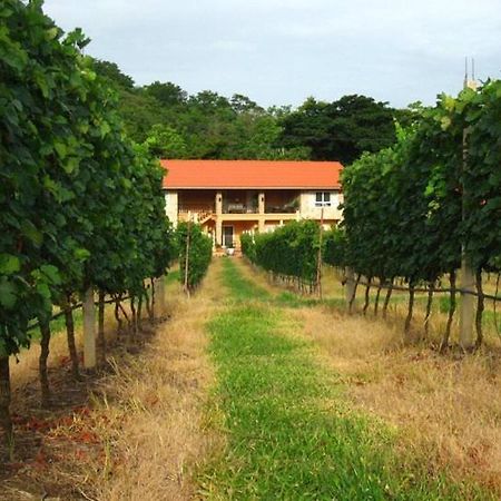 Granmonte Wine Cottage Phayayen Exterior photo