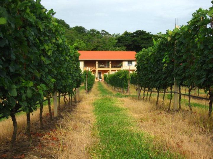 Granmonte Wine Cottage Phayayen Exterior photo