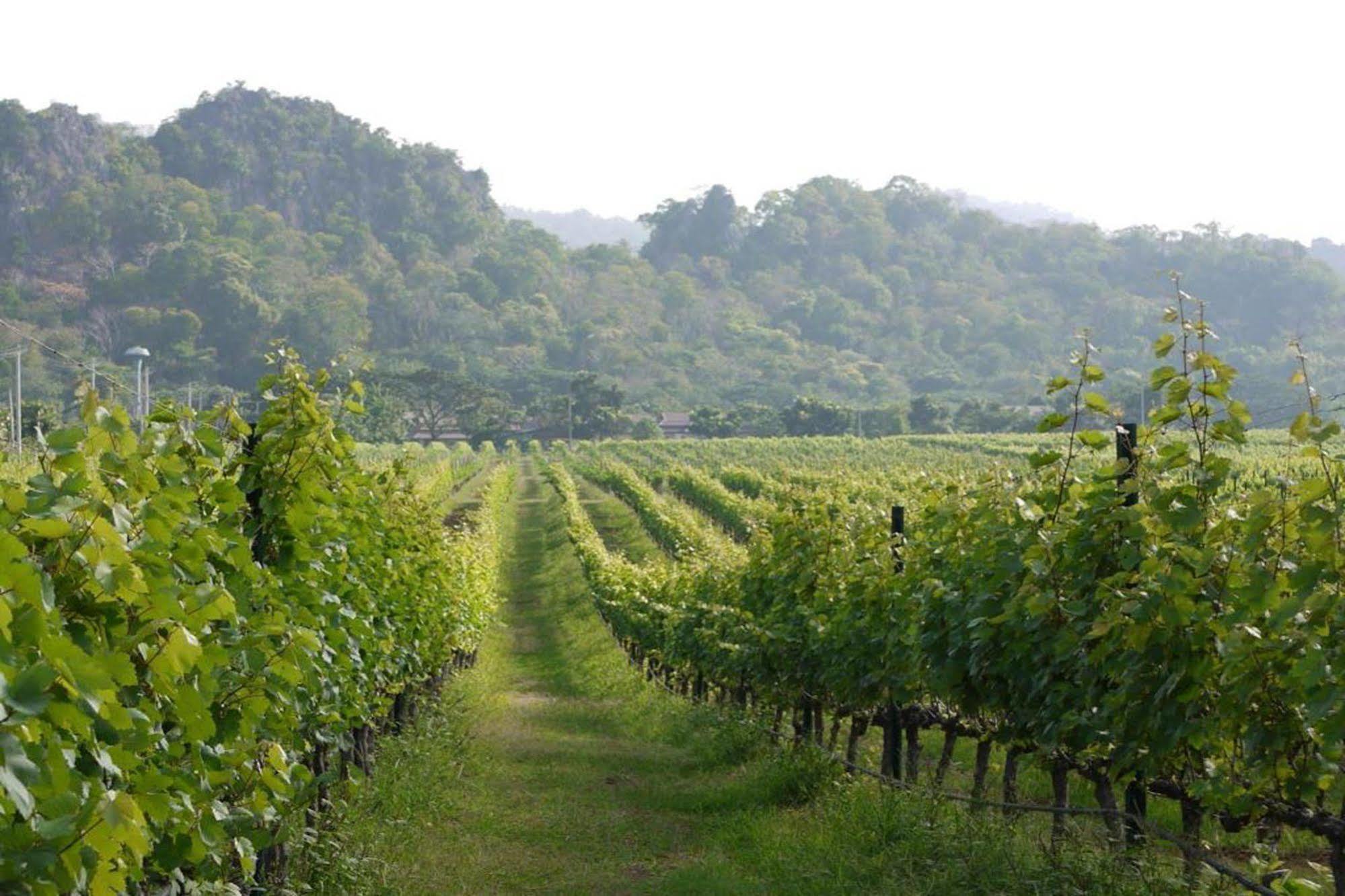 Granmonte Wine Cottage Phayayen Exterior photo